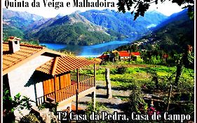 Quinta Da Veiga E Malhadoira